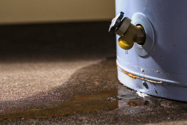 Best Water damage restoration experts  in Accokeek, MD