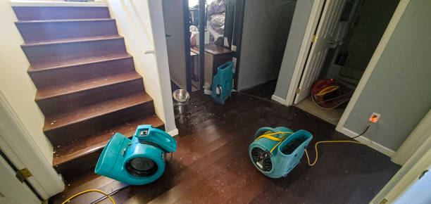  Accokeek, MD Water damage restoration Pros