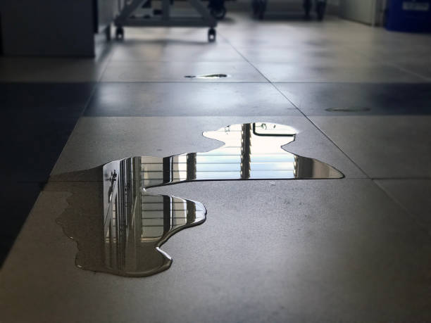 Best Water damage restoration near me  in Accokeek, MD