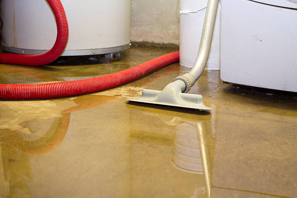 Best Residential water damage restoration  in Accokeek, MD