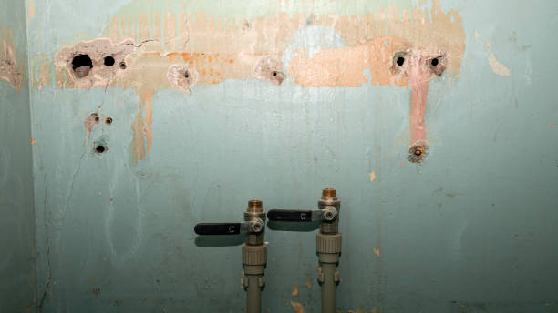 Best Sewage cleanup and water damage restoration  in Accokeek, MD